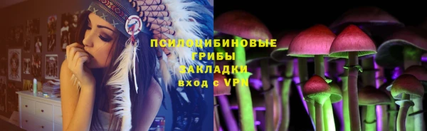 стафф Семёнов