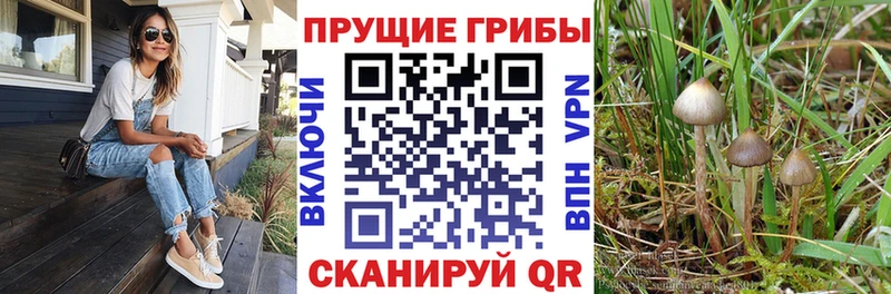Галлюциногенные грибы Magic Shrooms  Светлый 