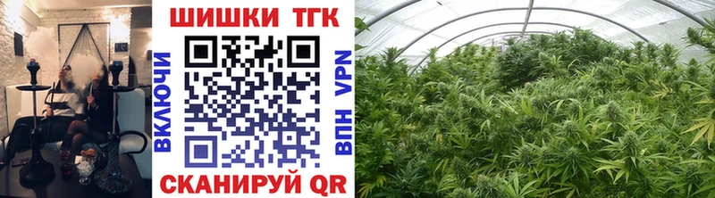Шишки марихуана OG Kush  Светлый 